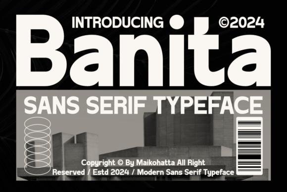 Banita: A Flexible Sans Serif Font for Modern Web Design