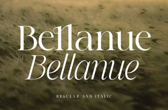 Bellanue: A Serif Font That Elevates Digital Branding