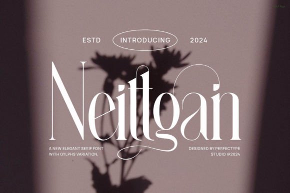 Neittgan: A Serif Typeface That Elevates Digital Branding