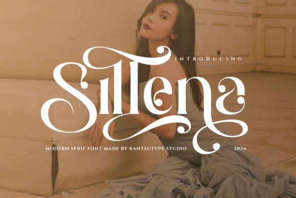 Sillena: A Serif Font That Elevates Campaign Visuals